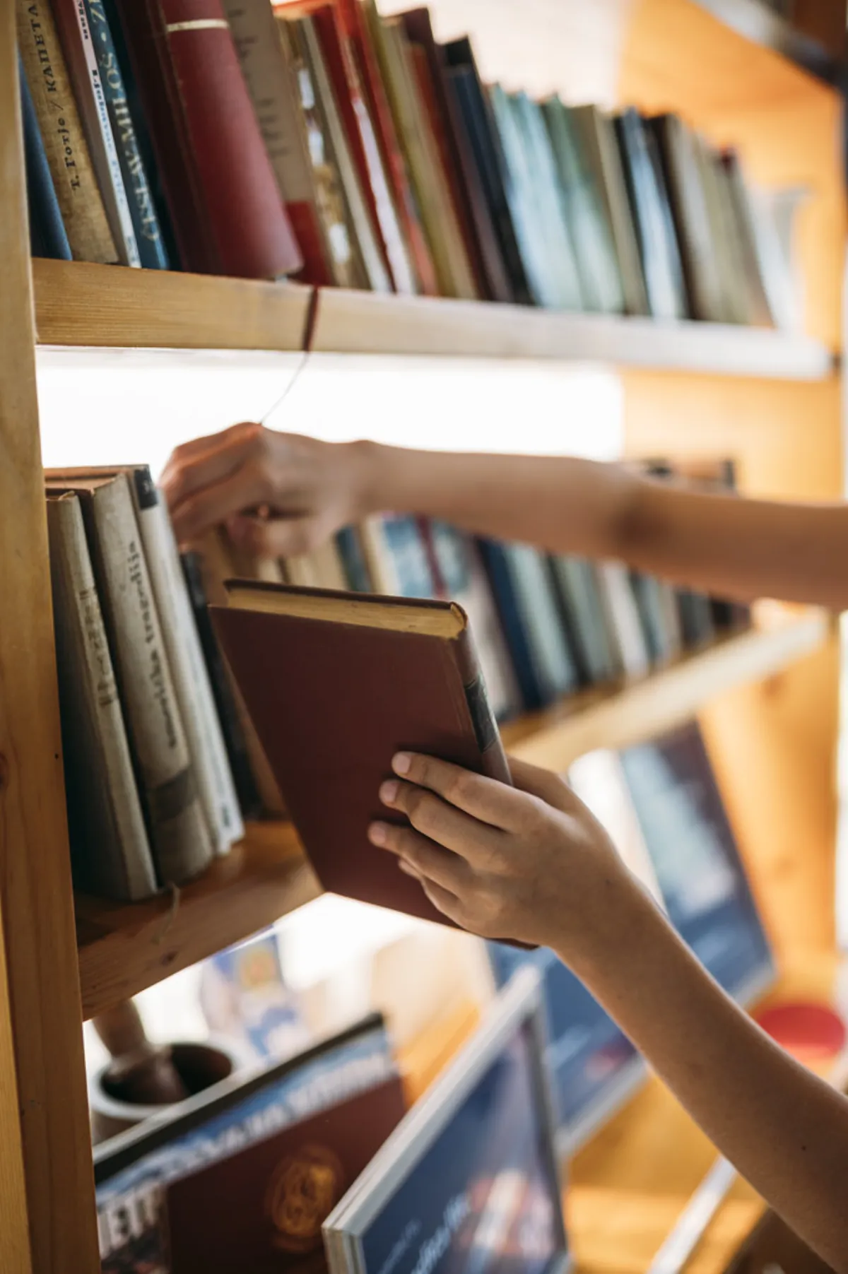 Biblioteczka na całą ścianę z jesionu, otwarte półki i niskie szafki pod oknem